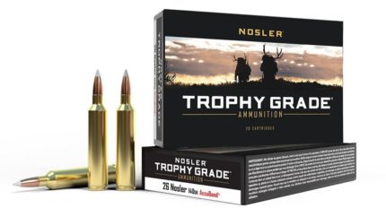 Nosler Match Grade 308 Win 168 Grain Custom Competition Ammunition (BLEM) – 20ct